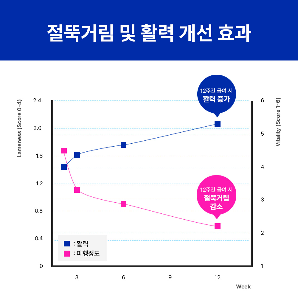 [슈퍼적립][네이버 단독] 라이프펫 슬개골 관절영양제 애견 연골 노견 조인트+조인트 미니 - 상세 이미지 5