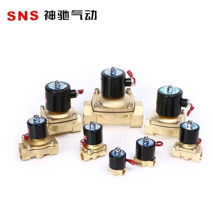 SNS 솔레노이드 밸브 물 에어 모델 2W-025-08 2W040-10 2W-160-15 2W-200-20 2W-350-35 2W-400-40 2W-500-50 AC220V 11