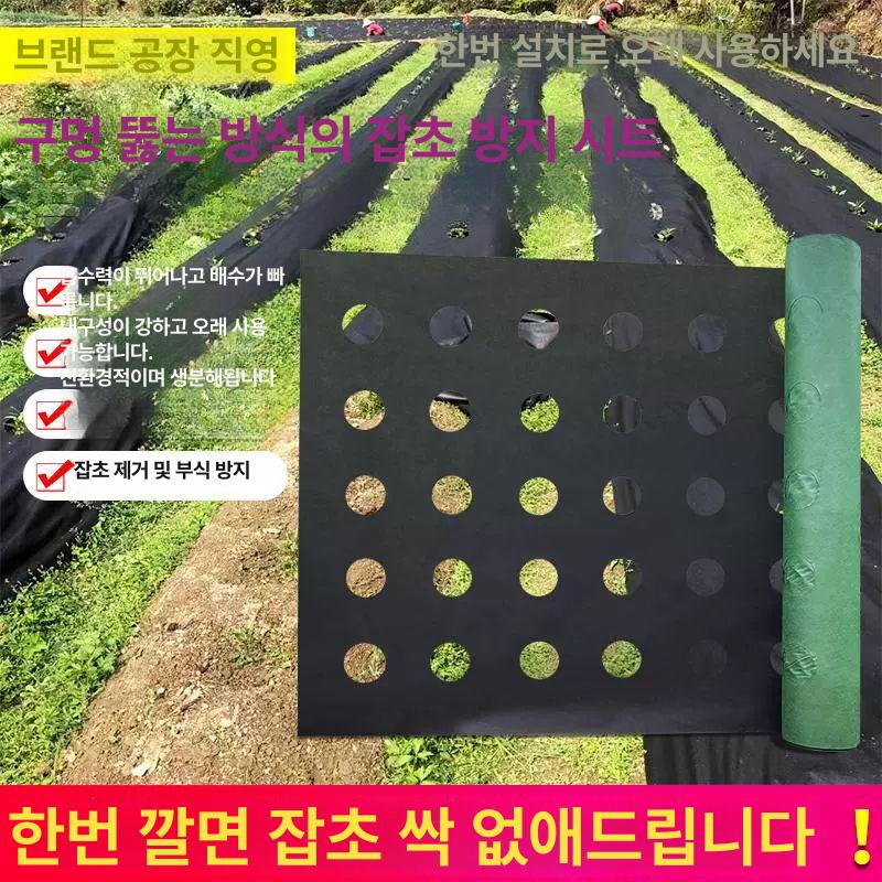 이중구멍 제초매트 멀칭 유공 방초천 밭 채소 모종용 농업용부직포 뿌리 잡초방지 - 상세 이미지 5