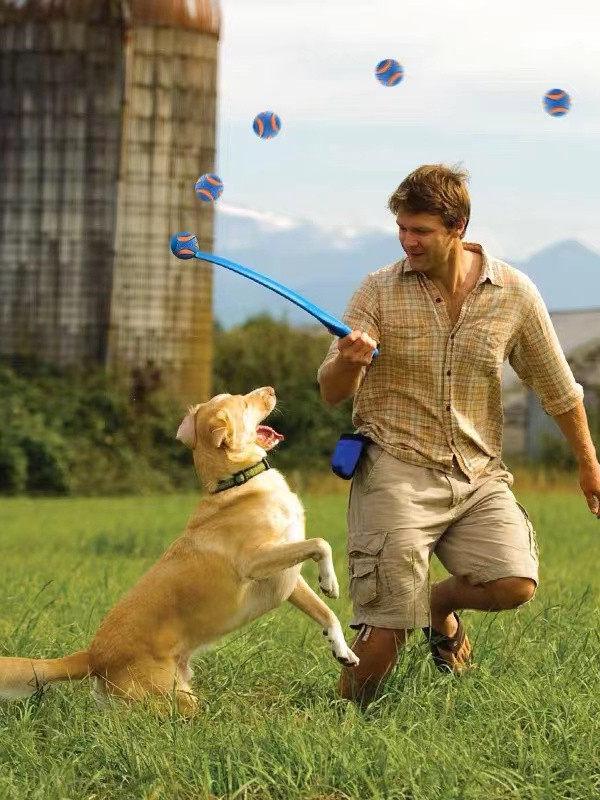 강아지장난감 공놀이 고무공 터그놀이 노즈워크 탱탱볼 테니스공 방울공 스낵볼 - 상세 이미지 3