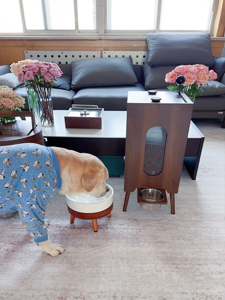 강아지 반 자동 애견 고양이 수동 급식기 반려 동물 물 그릇 견 간식 - 상세 이미지 5