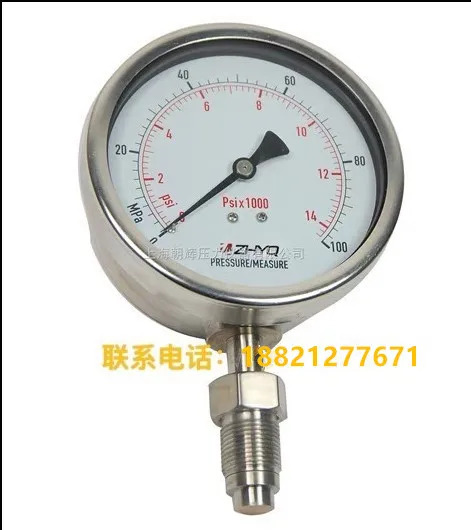 PT124Y-620-100MPA-M20- 차오후이 위생 다이어프램 압력 게이지