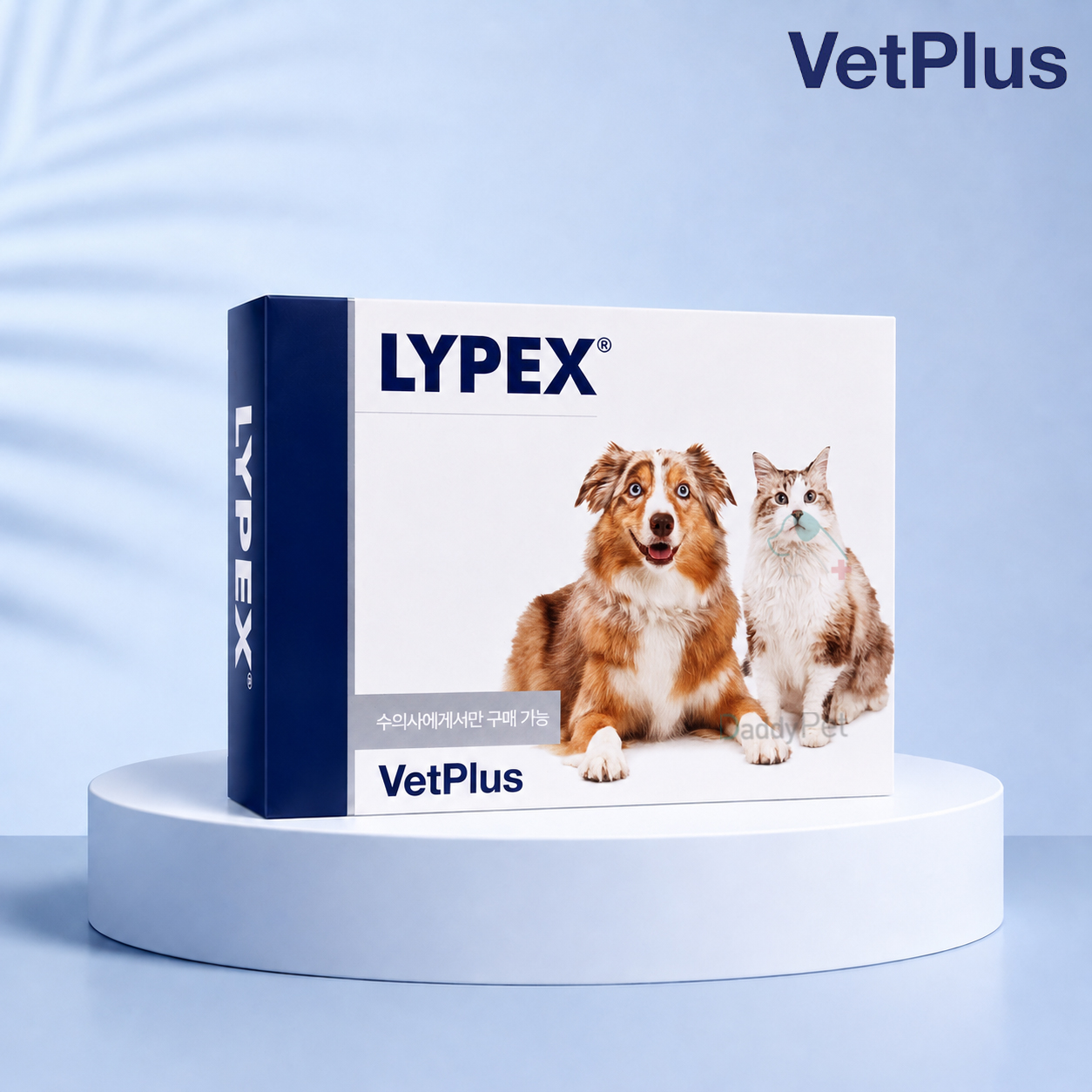 벳플러스 라이펙스 강아지 고양이 췌장 효소 보충제 영양제 60캡슐 LYPEX 보조제 - 상품 이미지