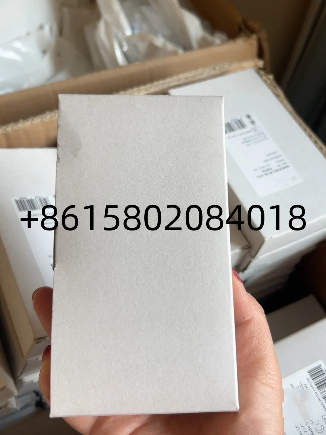 VSVA-B-B52-H-A1-1R5L 534557