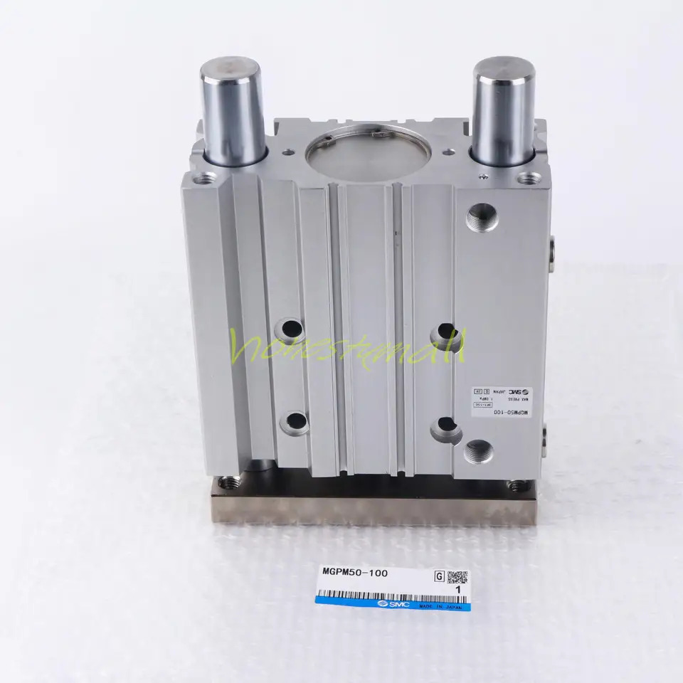 Ein Neu SMC MGPM50-100