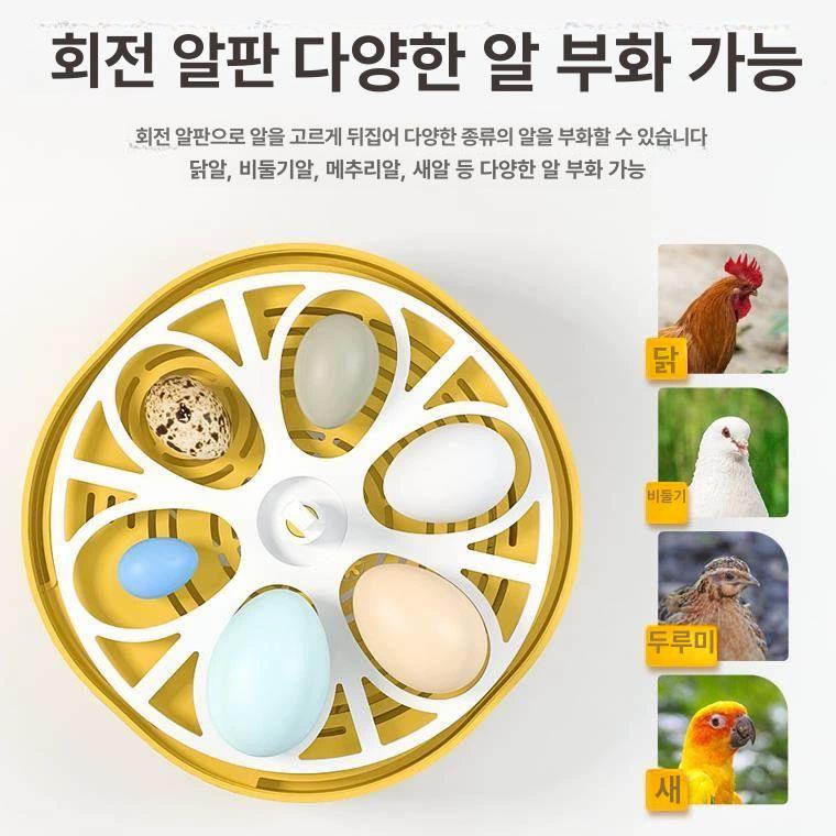 가정용부화기 달걀 자동 메추리부화기 소형 부화 인큐베이터 유정란 온도 계란부화기 - 상세 이미지 4