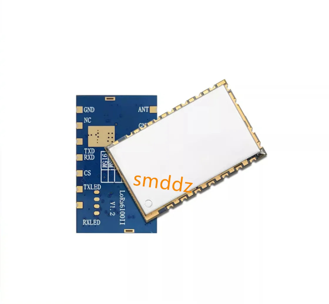 2W 메쉬 자체 구성 네트워크 Lora 무선 직렬 포트 데이터 전송 모듈 LoRa6100II LBT AES 초저가