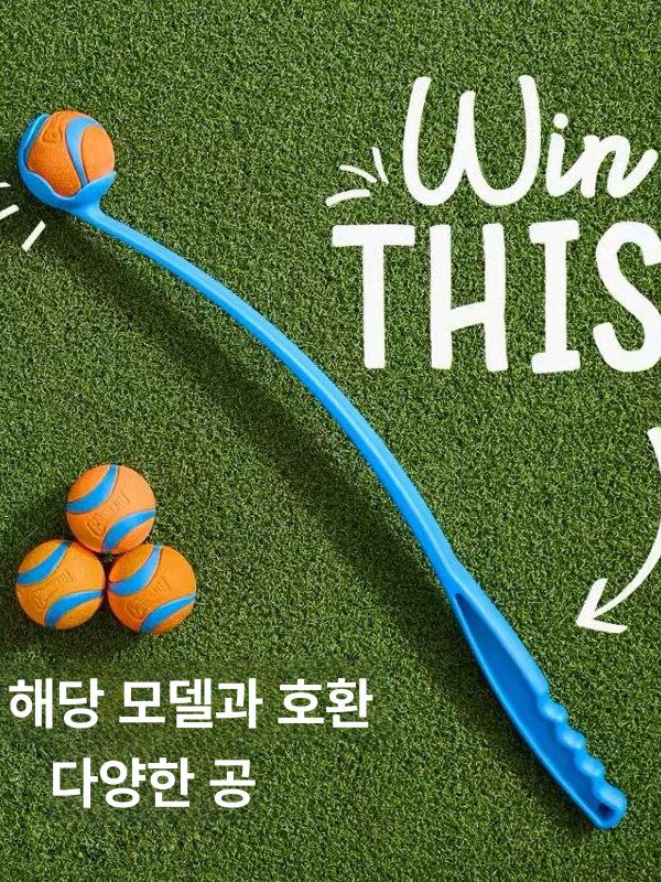 강아지장난감 공놀이 고무공 터그놀이 노즈워크 탱탱볼 테니스공 방울공 스낵볼 - 상세 이미지 4
