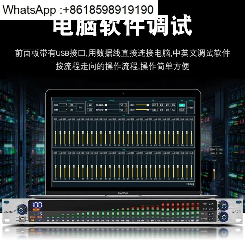 Equalizer Professional 31 세그먼트 홈 스테이지 퍼포먼스 바 고등학교 베이스 EQ 튜너 소음 감소 디지털 이퀄라이저