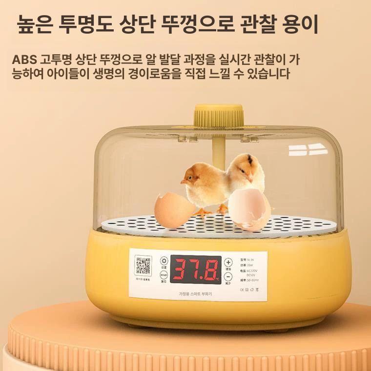 가정용부화기 달걀 자동 메추리부화기 소형 부화 인큐베이터 유정란 온도 계란부화기 - 상세 이미지 2