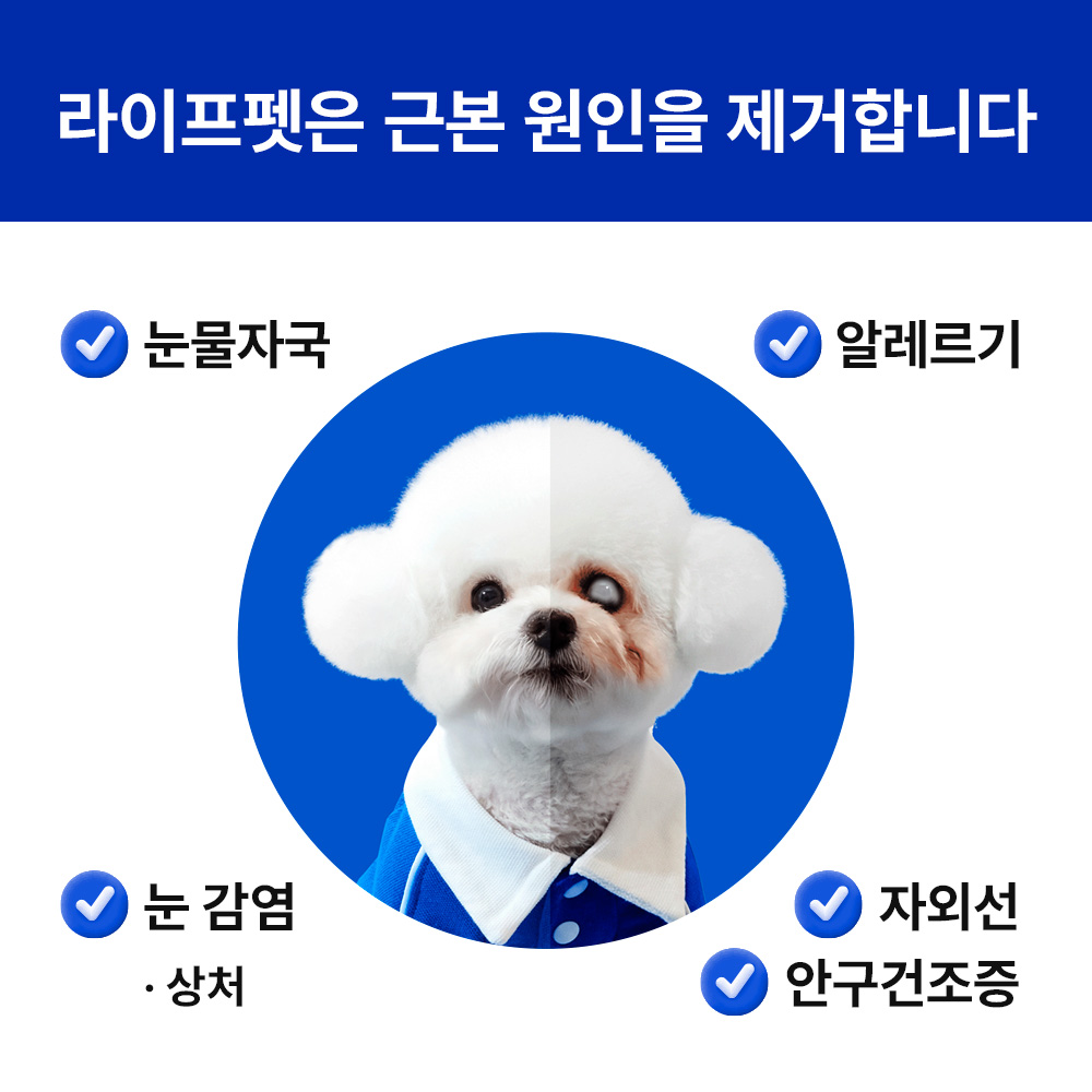 [슈퍼적립][네이버 단독] 라이프펫 강아지 눈물영양제 루테인 눈물자국 눈꼽백내장 아이즈+아이즈 미니 - 상세 이미지 4