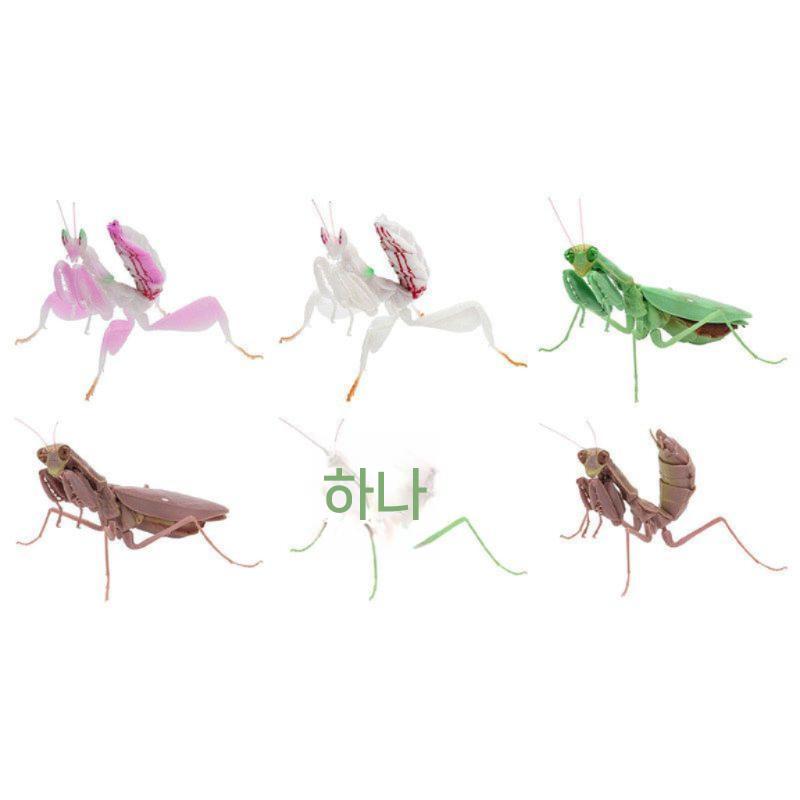 난초사마귀 곤충모형 피규어 모델 큰칼 장난감 유체 장식 모조 거대 이미지 6