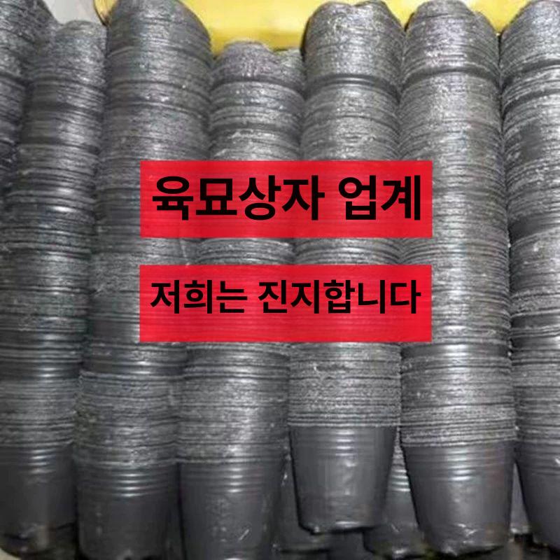 비닐 화분 플라스틱 실제 재배분 사각 검정비닐포트 왁스콜렉션 대 플라스틱화분 컵 비닐화분 - 상세 이미지 4