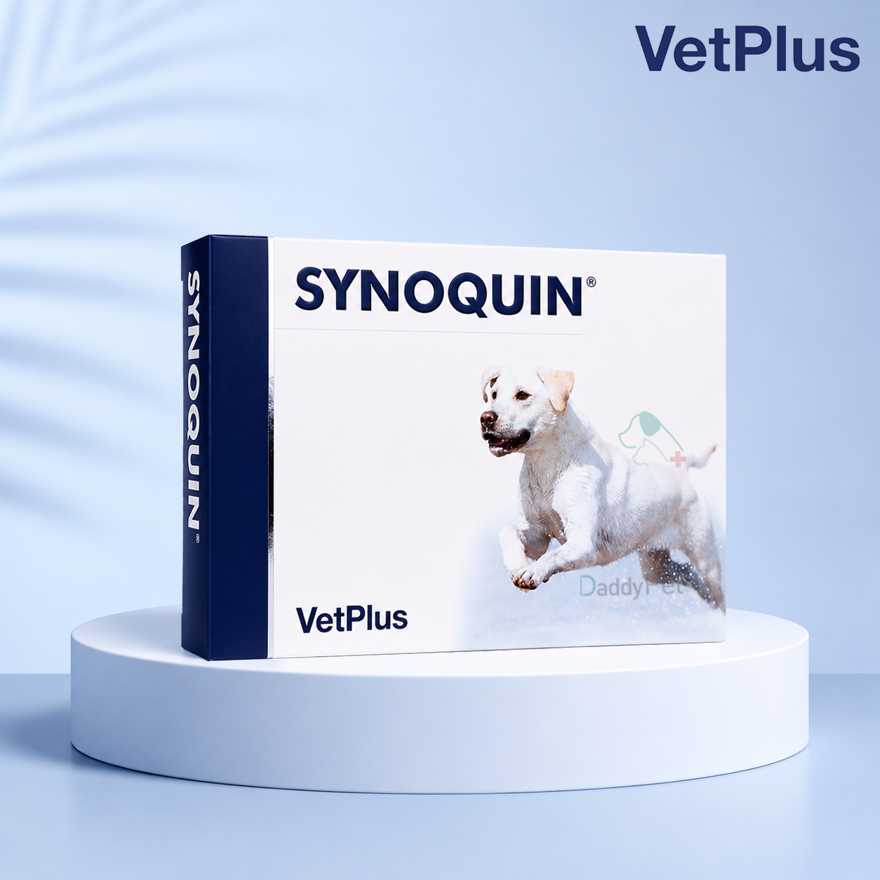 벳플러스 사이노퀸 라지 대형견 강아지 관절 영양제 타블릿 30정 관절보조제 SYNOQUIN - 상품 이미지