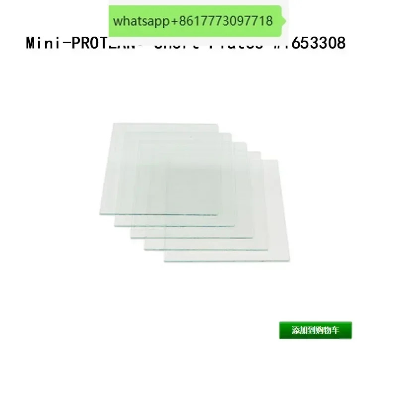 전기영동 유리 Bole 수직 숏 BIO-RAD 고무판 1653308 유리판