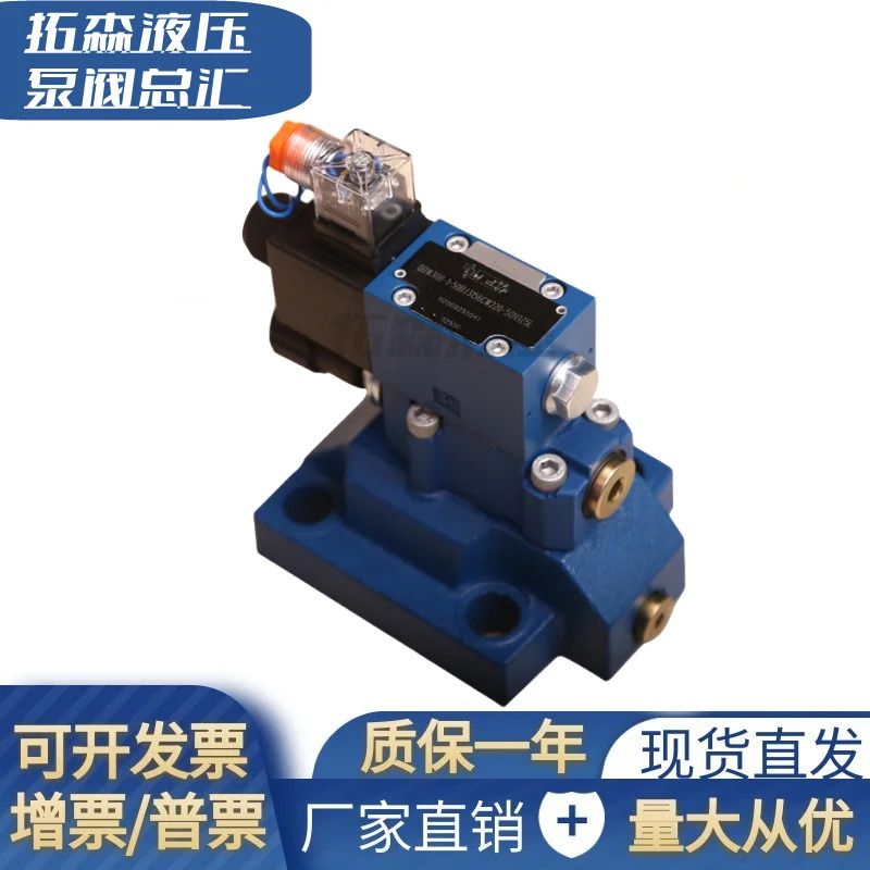 DBW10B- 1-50/31 솔레노이드 릴리프 밸브 DBW10A-