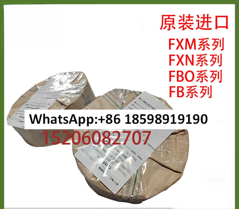 오버러닝 클러치 FXM100-50MX/H55 백스톱 RINGSPANNFXM140