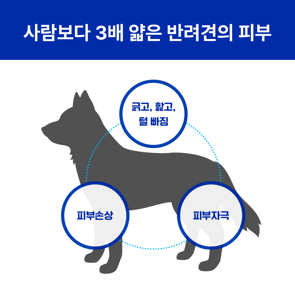 라이프펫 강아지영양제 스킨케어 피모 발사탕 아토피 피부염 가려움 85개입 알레르기+피부+면역, 90g, 1개 - 상세 이미지 3