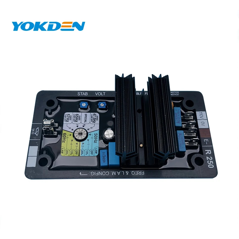 AC 발전기 브러시리스 20kva 전압 조정기 R R250