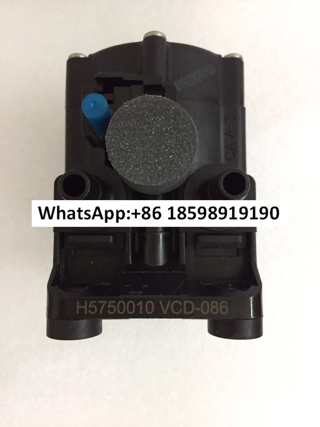 공압 다이어프램 펌프 G57520GD P56-SANTO