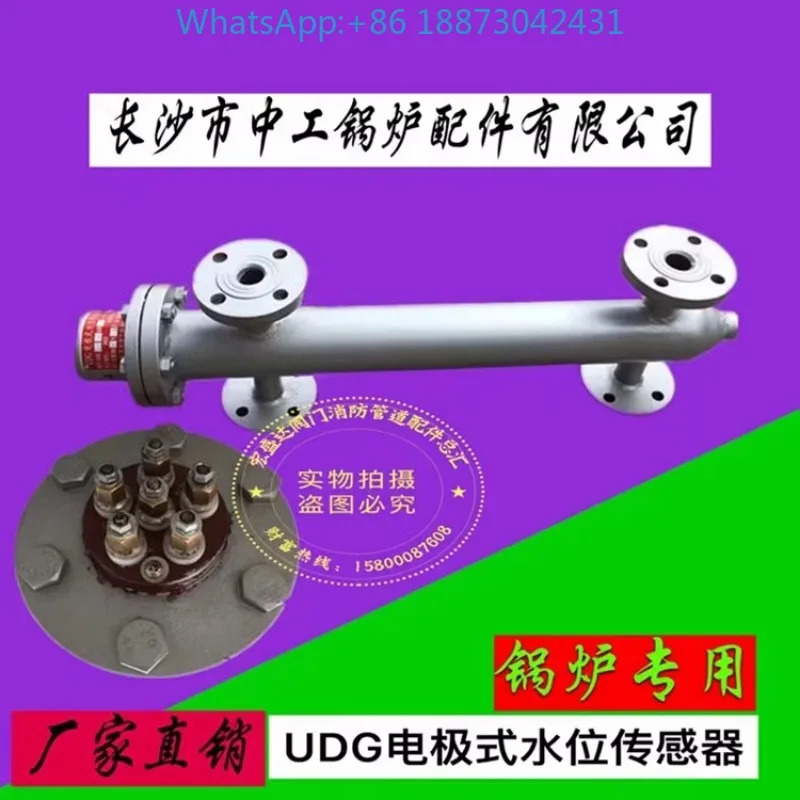 Changsha Zhonggong 보일러 액세서리 UDG36K/B-G 전극 수위 센서 L300 350 440mm