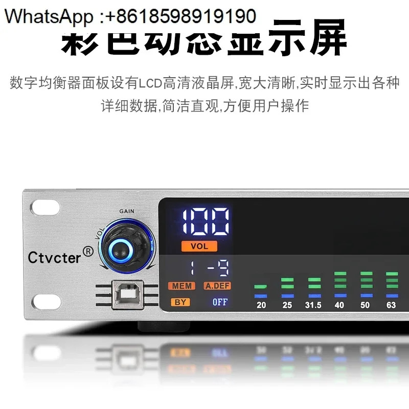 Equalizer Professional 31 세그먼트 홈 스테이지 퍼포먼스 바 고등학교 베이스 EQ 튜너 소음 감소 디지털 이퀄라이저
