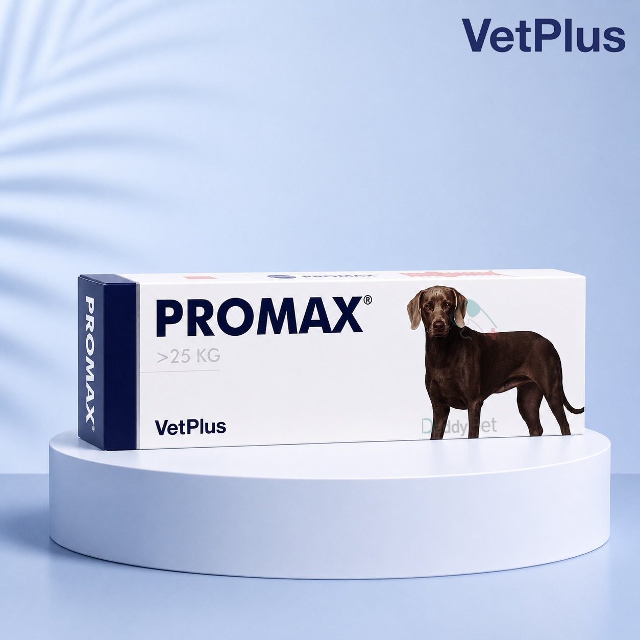 벳플러스 프로맥스 30ml 대형견 강아지 유산균 장 건강 필수 영양제 프로멕스 PROMAX 라지 - 상품 이미지