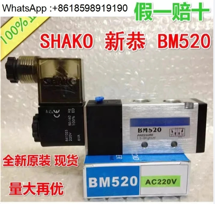 공압 솔레노이드 밸브 BW BM520-02-S 03-S AC220V DC24V 전제어 수동 역전