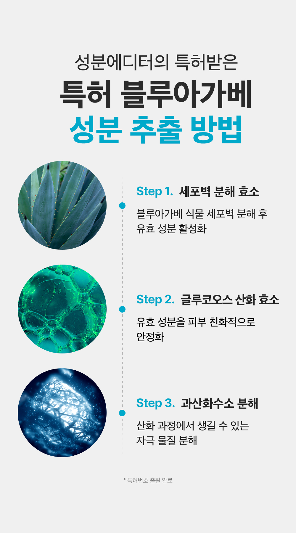 sungboon editor blue agave toner pads