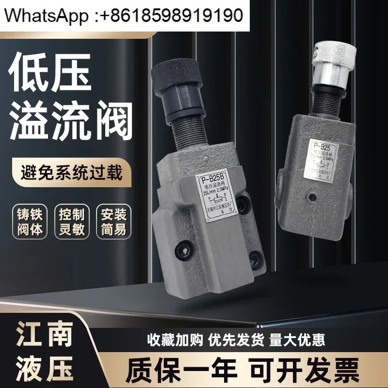 유압 부품 공장 압력 조절 릴리프 밸브 P-B10B P-B25B P-B63B P-B25 P-B10 P-B63