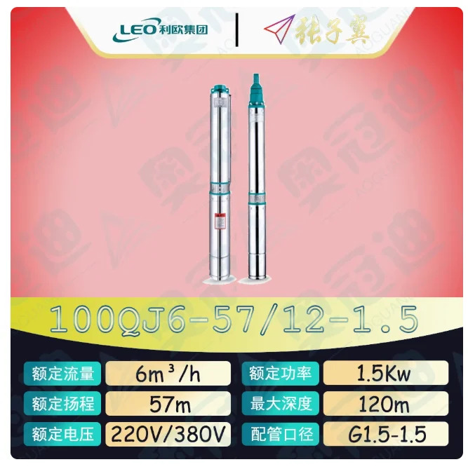 LEO QJ 깊은 우워터펌프 하이 리프트 스테인레스 스틸 단상 220 100QJ6-57/12-1.5D 100QJ6-81/17-2.2D 100QJ10-25/6-1.1D