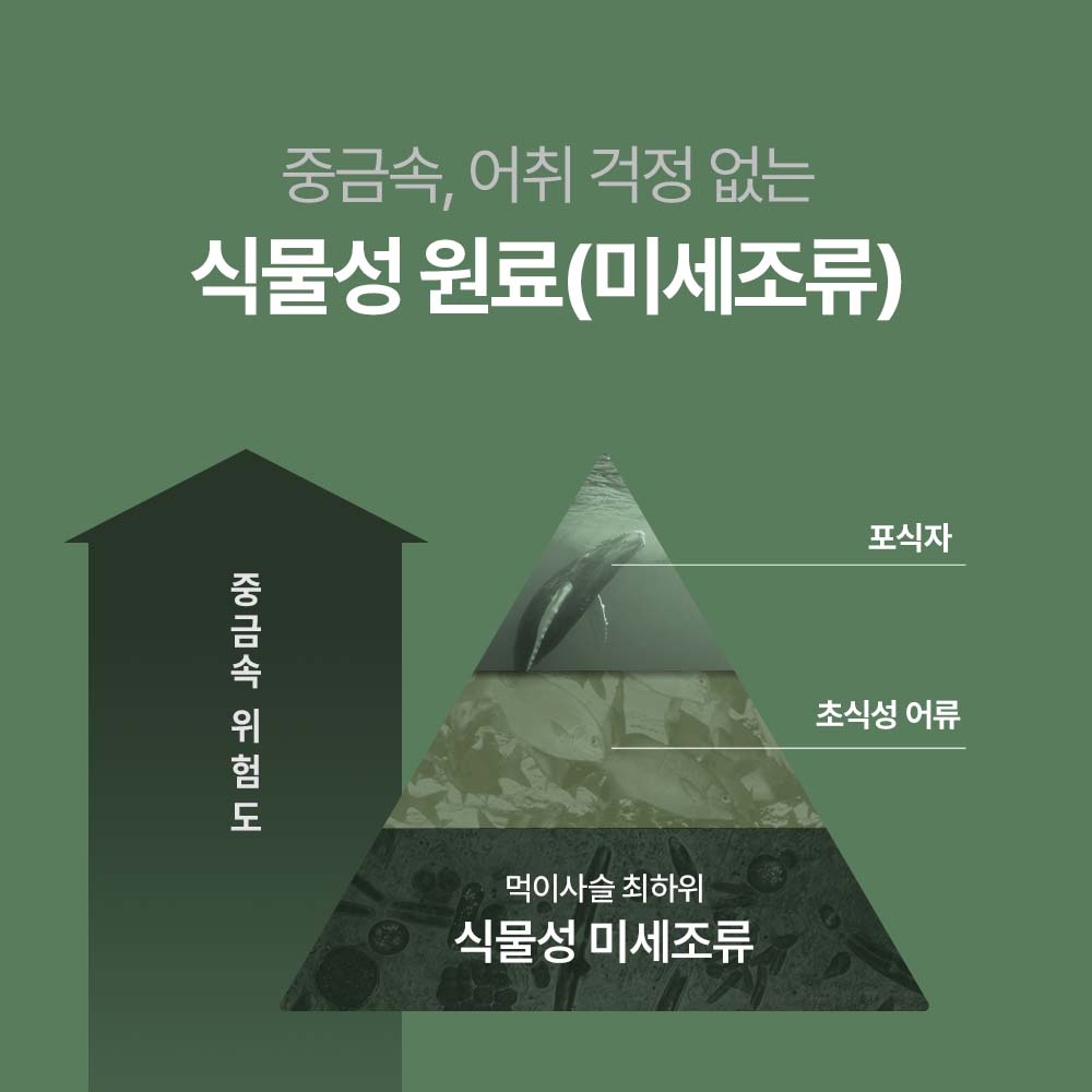 임산부 오메가3 비타민D 알티지 오메가3 임산부 비타민 미니 캡슐 오메가3