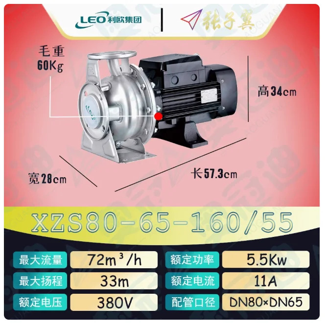 LEO XZS 스테인레스 스틸 엔드 흡입 수평 원심 워터 펌프 3상 380V XZS80-65-125/40 80-65-160/55 80-65-160/75
