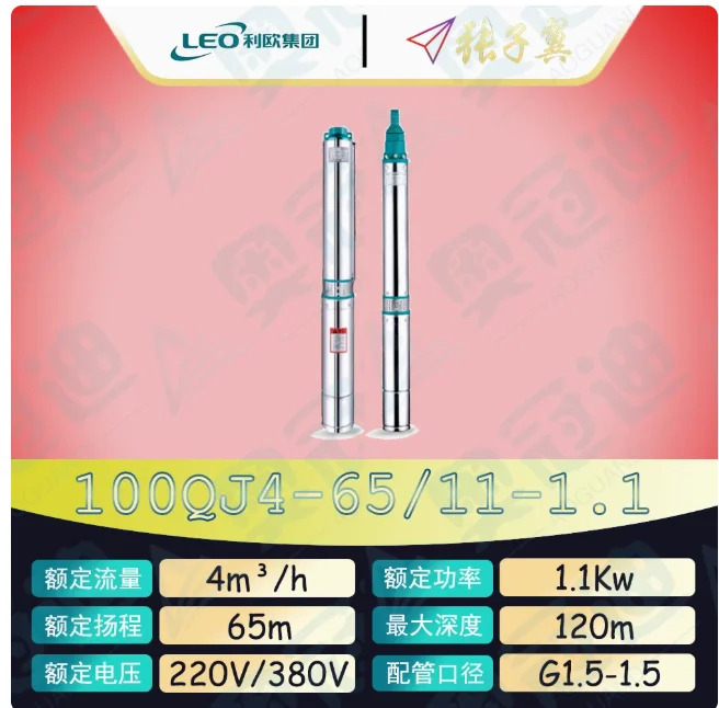 LEO QJ 깊은 우워터펌프 하이 리프트 스테인레스 스틸 단상 220V 100QJ4-35/6-0.55D 100QJ4-47/8-0.75D 100QJ4-65/11-1.1D
