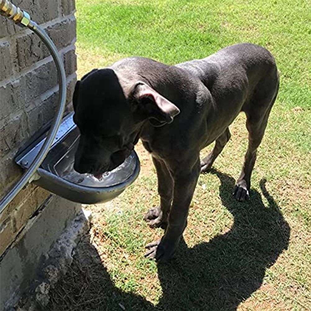 축산용 가축급수기 물탱크 축사 음수대 말 양 돼지 위생 스테인레스 밸브 플로트 - 상세 이미지 3