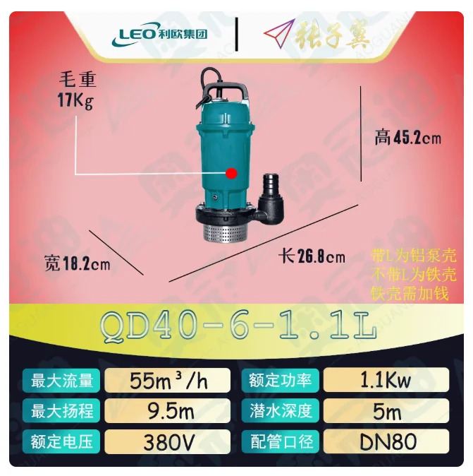 LEO QDX 소형 수펌프 철 쉘 3상 380V QX15-10-0.75 QX25-6-0.75 QX1.5-32-0.75 QX40-6-1.1 QX15-14-1.1 QX10-18