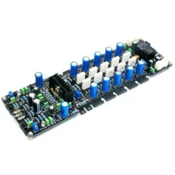 LME49810 400W 모노 DC 서보 A B 파워 보드 장착 완 라디에이터 없음