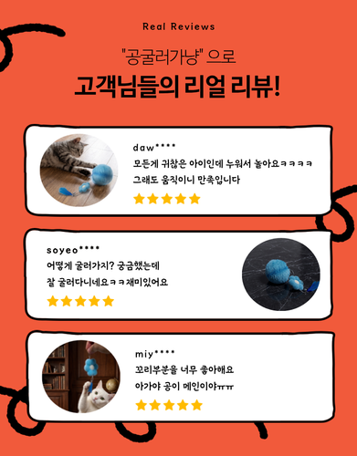 마이캣 공굴러가냥 자동 꼬리 공 깃털 볼 장난감 움직이는 굴러가는 사냥 쥐 고양이 강아지 - 상세 이미지 3
