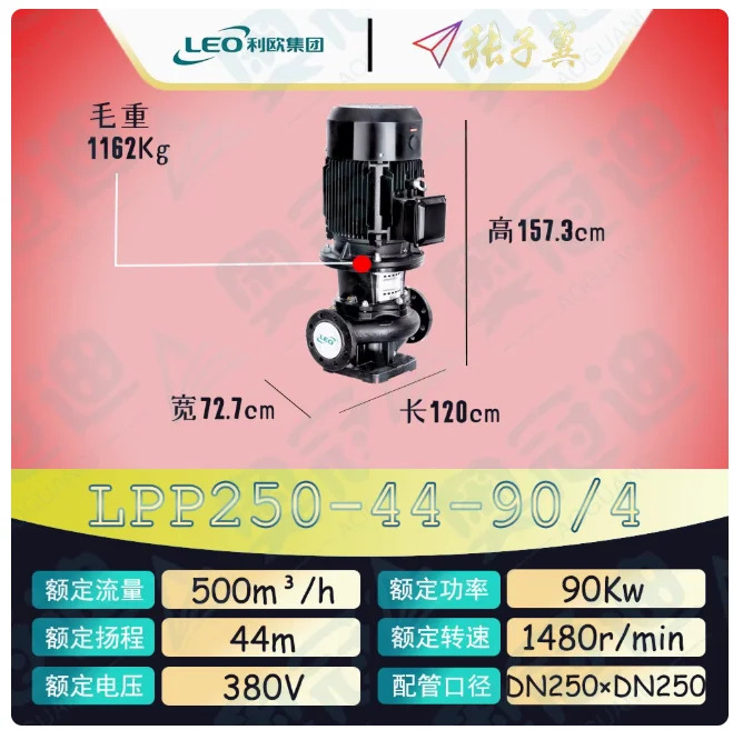LEO LPP 수직 파이프라순환 원심 워터 펌프바닥 플레이트 LPP200-32-37/4 LPP250-50-110/4 LPP250-44-90/4