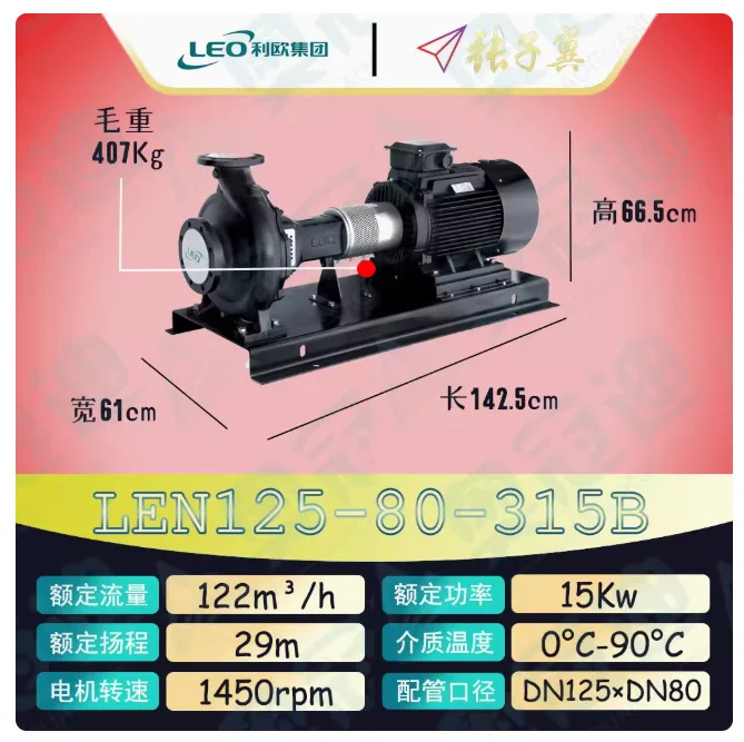 LEO LEN 수평 엔드 흡입 원심 펌프 LEN125-80-315B 15KW LEN125-80-315C LEN125-80-315D LEN125-80-315E 11KW