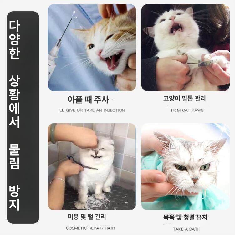 넥카라 고양이머리보호캡 통기성 반려묘 투명 방지 커버 보호대 칼라 고양이수술후 - 상세 이미지 3