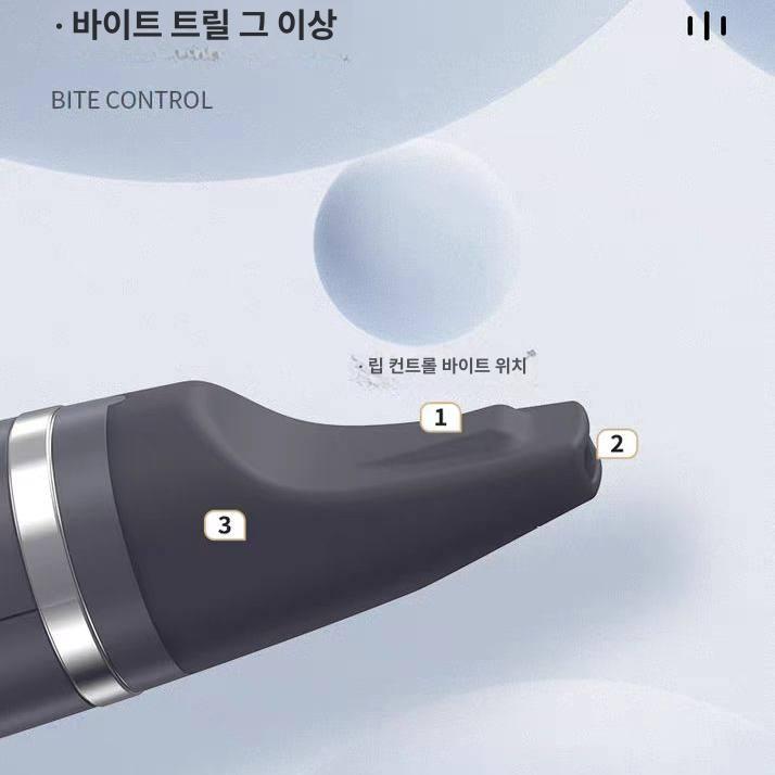 전자플룻 전자 색소폰 플룻트 선물패키지 악기 팬플루트 - 상세 이미지 4