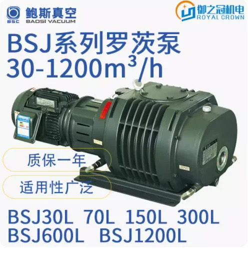 BSC 오일 프리 진공 펌프 스크류 BSJ30L BSJ70 150 300 600 1200L DRV10 DRV16 24 30 40 60 90 175/275