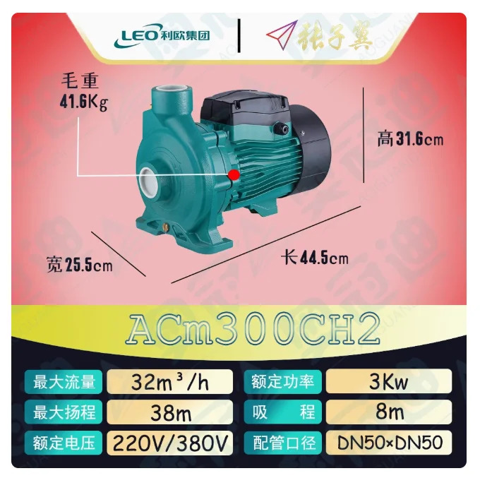 LEO ACm 원심 워터 펌프 PUN 시리즈 220V/380V 2인치 하이 헤드 ACm300CH2 AC300CH2 ACm400CH2 AC400CH2