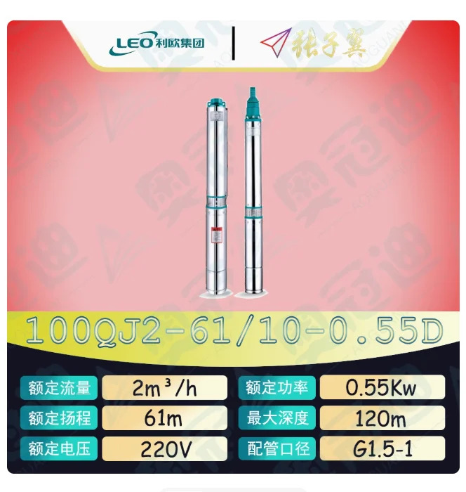 LEO QJ 깊은 우워터펌프 하이 리프트 스테인레스 스틸 단상 220V 100QJ2-61/10-0.55D 100QJ2-80/13-0.75D 100QJ2-111/18-1.1D