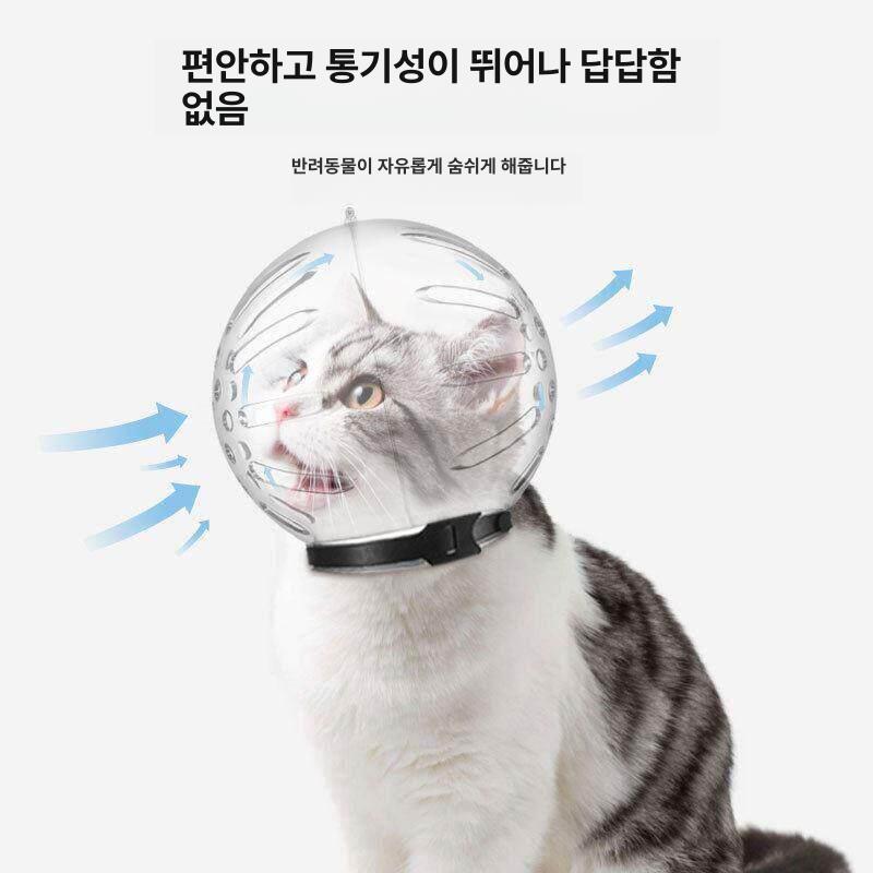 넥카라 고양이머리보호캡 통기성 반려묘 투명 방지 커버 보호대 칼라 고양이수술후 - 상세 이미지 4