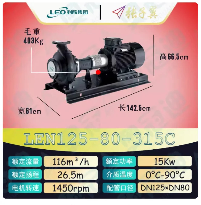 LEO LEN 수평 엔드 흡입 원심 펌프 LEN125-80-315B 15KW LEN125-80-315C LEN125-80-315D LEN125-80-315E 11KW