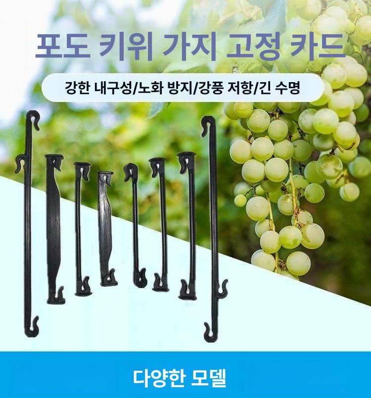 과일묶음클립 5kg 채소고정클램프 포도키위고추오이 수확용 정리버클 농산물 결속띠 - 상세 이미지 3