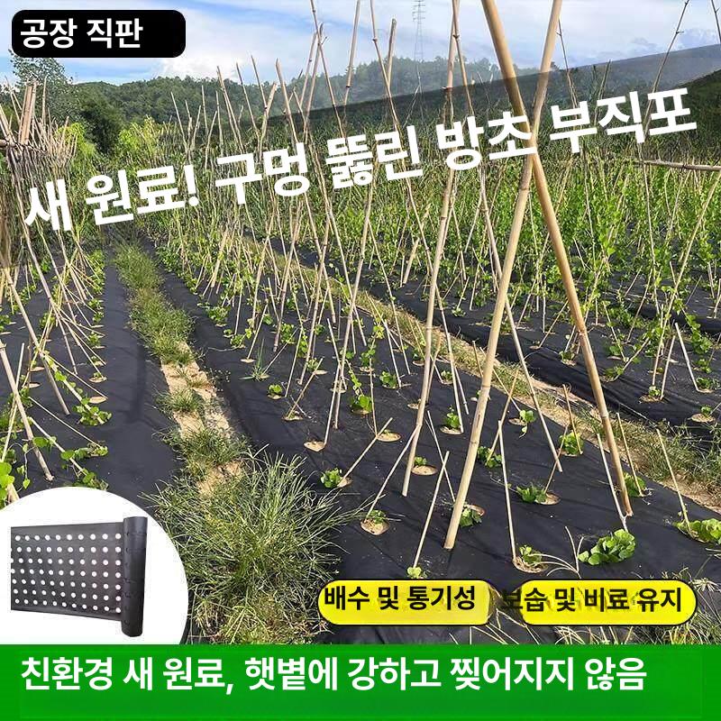 제초포 방초 멀칭매트 유공부직포 투습 통기성 제초매트 방지 덮개 - 상세 이미지 3