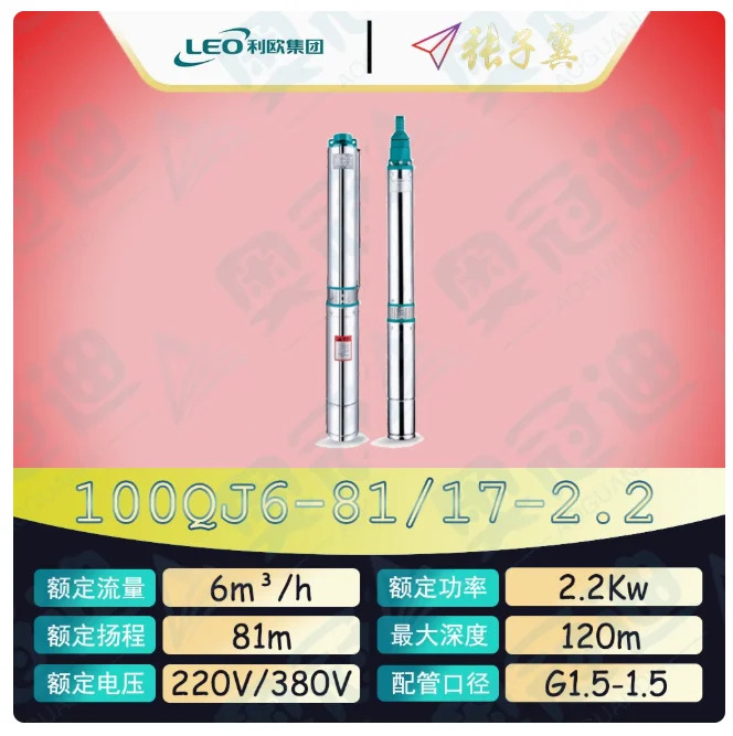 LEO QJ 깊은 우워터펌프 하이 리프트 스테인레스 스틸 단상 220 100QJ6-57/12-1.5D 100QJ6-81/17-2.2D 100QJ10-25/6-1.1D